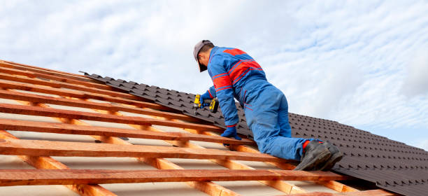 Best Metal Roofing Installation  in Etowah, TN